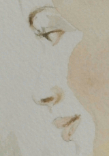 Morning Muse Details